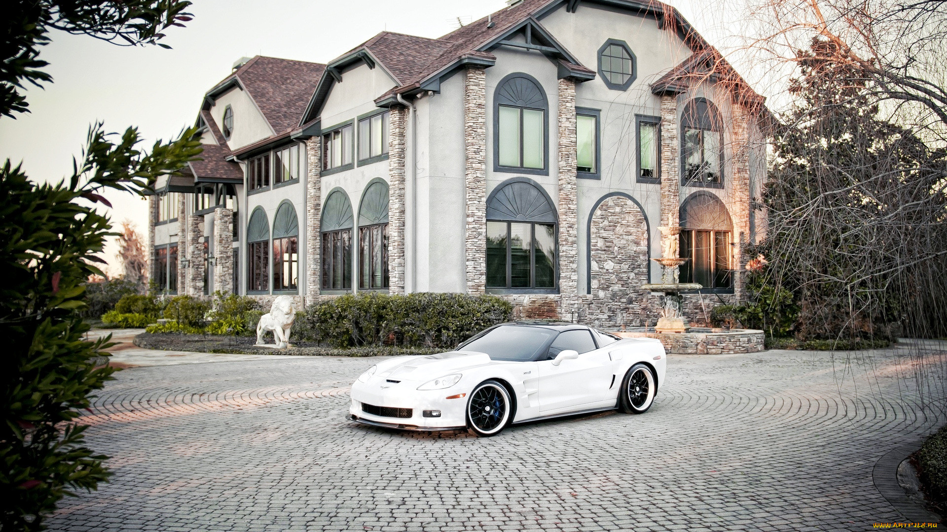 corvette, , , gm, chevrolet, division